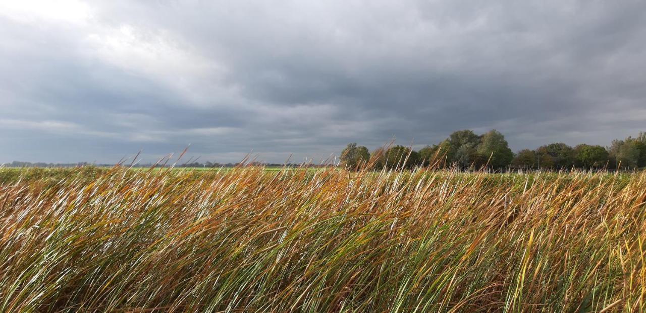 Tuinhuis Lutjewinkel ภายนอก รูปภาพ