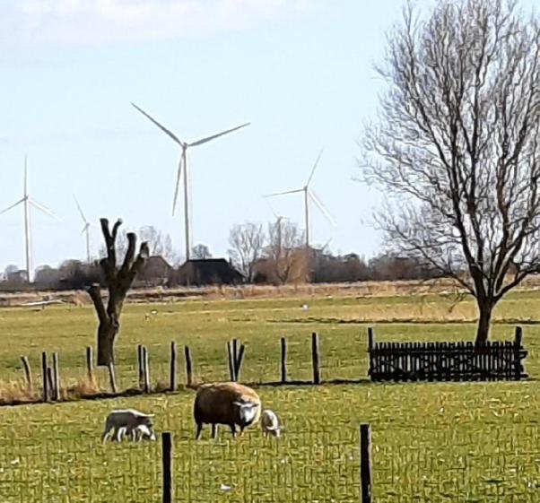 Tuinhuis Lutjewinkel ภายนอก รูปภาพ