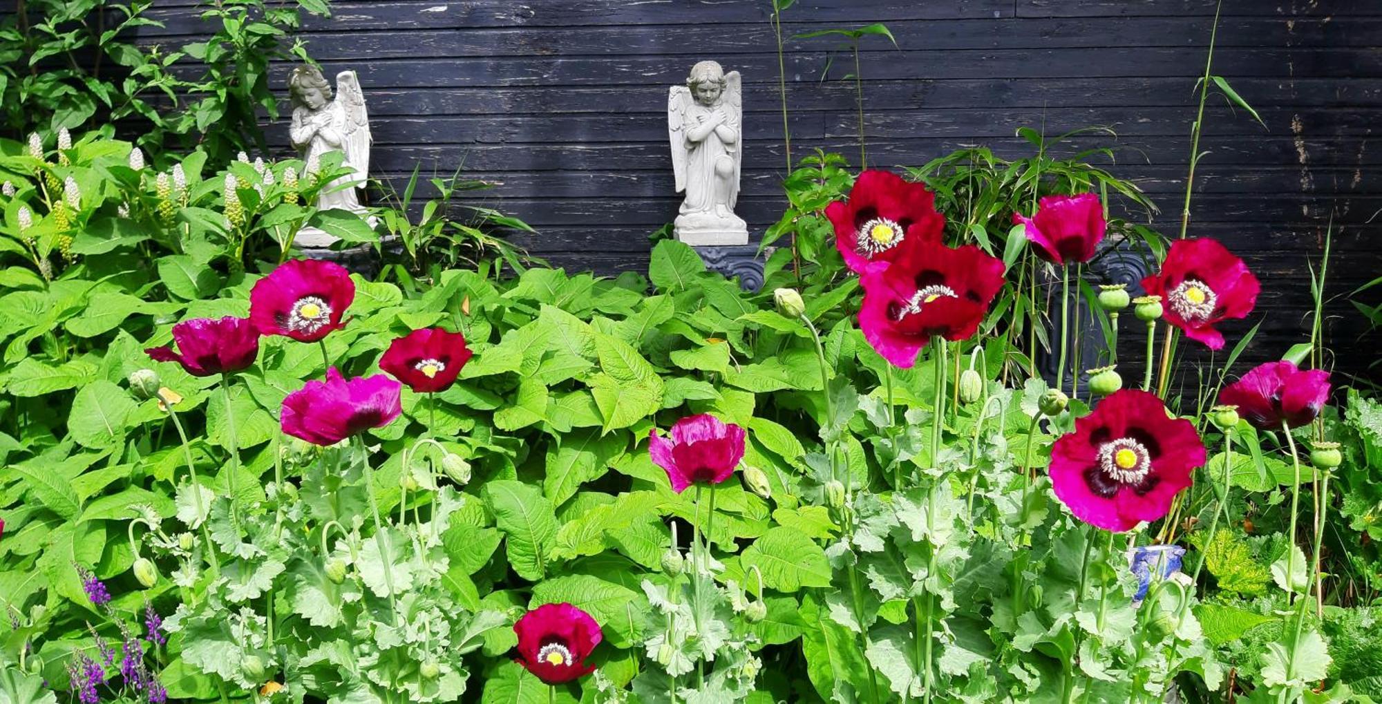 Tuinhuis Lutjewinkel ภายนอก รูปภาพ